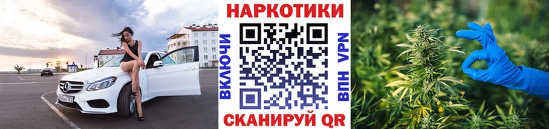 Как найти наркотики Курчалой Канабис Альфа ПВП ГАШ COCAIN
