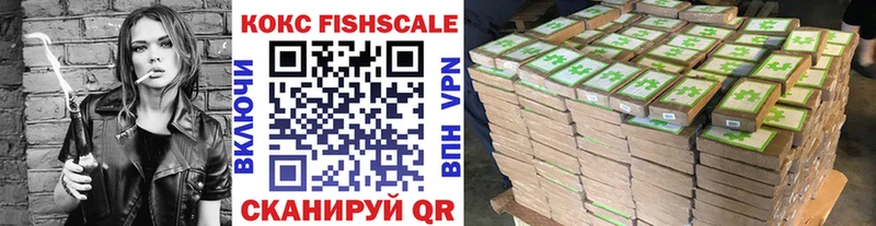Cocaine Fish Scale  МЕГА зеркало  Курчалой  где найти  