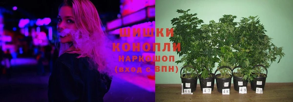 индика Кодинск