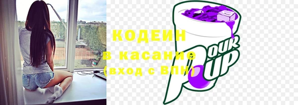 индика Кодинск