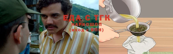 стаф Касимов