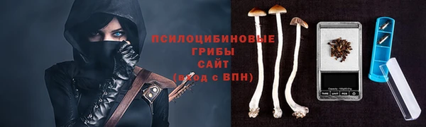 мдма Козельск