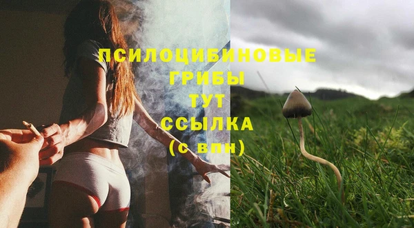 герыч Козловка
