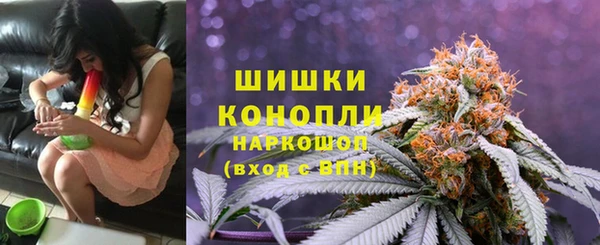 стаф Касимов