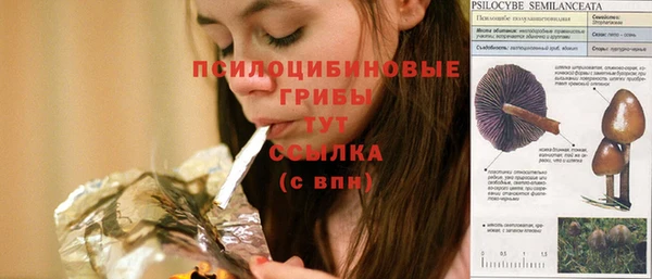 стаф Касимов