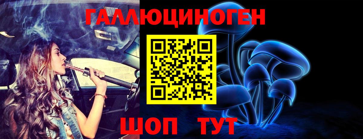 Псилоцибиновые грибы ЛСД  Псилоцибиновые грибы MAGIC MUSHROOMS  Вход с VPN  Курчалой 