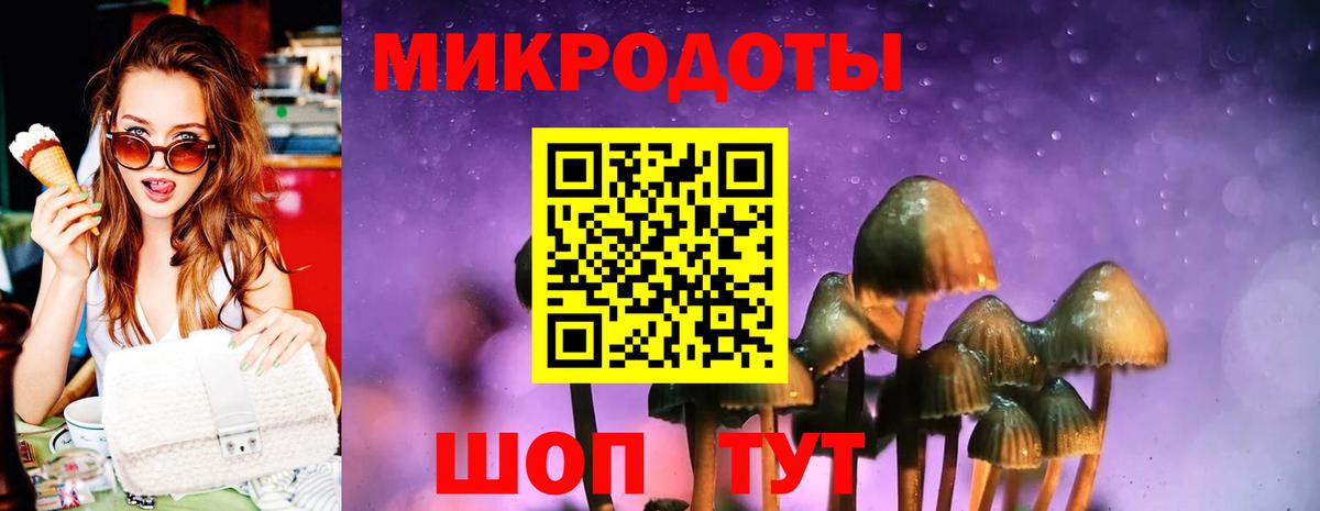 Псилоцибиновые грибы мицелий Курчалой