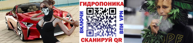 kraken онион  где можно купить   Курчалой  Канабис VHQ 